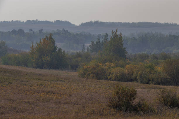 PRA Antelope Hill, Special Area 2, Alberta, Canada