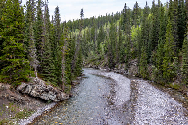 istock PRA North Ghost, MD of Big Horn, Alberta, Canada 1985547254