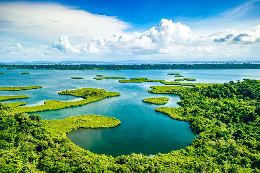 the Everglades unfold in a vast expanse of wetlands, where mangrove forests and sawgrass prairies create a mosaic of biodiversity.
