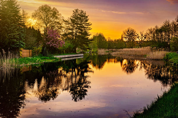 istock Rural landscape, river among green meadows at sunset 1985587629