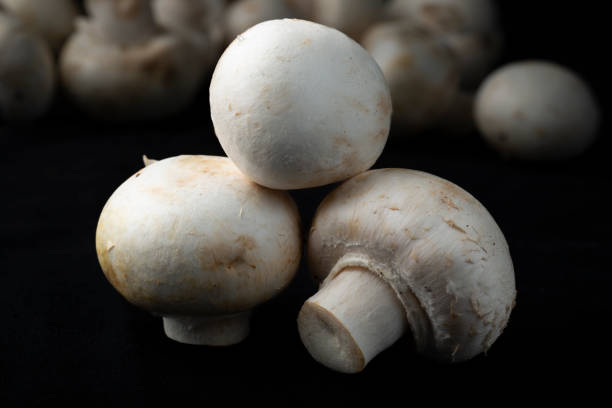 Mushrooms on a black background.Sale of mushrooms and champignons.