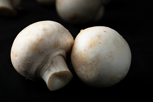 Mushrooms in a frying pan