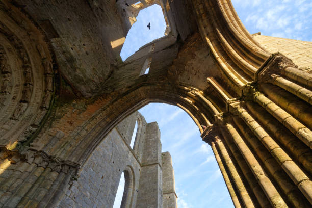 istock Saint-Mathurin basilica in Larchant village 1985632541