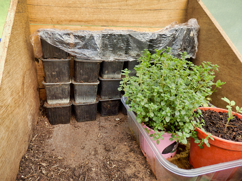 Home made wooden potting box containing items for used in gardening