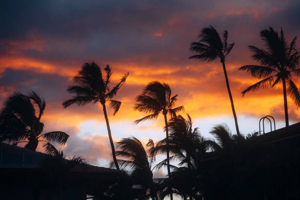 barrio de maui - hawaii islands polynesian culture hula dancer sunset fotografías e imágenes de stock