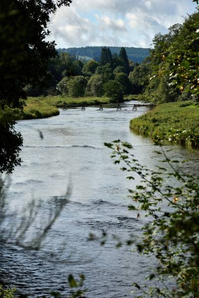 istock The Semois River flows through meadows and forests and a wooden footbridge connects both banks 1985690323