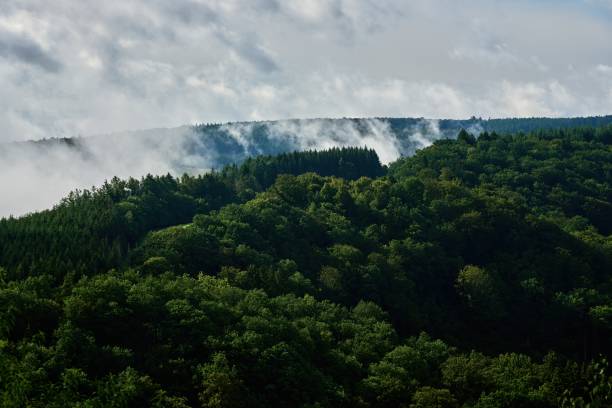 Belgium, Wallonia, Semois river valley