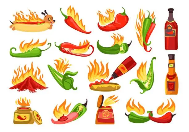 Vector illustration of Cartoon hot sauce. Chili ketchups in different bottles. Salsa jars. Red or green peppers. Spicy hotdog. Paprika taste. Burning jalapeno. Mexican kitchen. Spice products. Splendid vector set