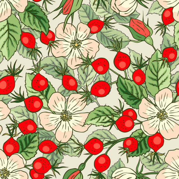 Eglantine Rose Hip Flower and red berry flower seamless vector pattern background. Eglantine Rose Hip Flower and red berry flower seamless vector pattern background. Autumn floral fruit bouquet fresh forest garden illustration wild rose hip stock illustrations