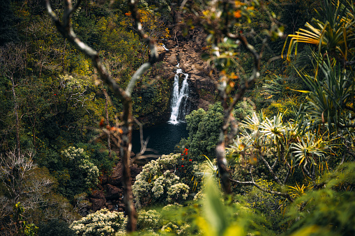 Waterfall on Road to Hana in beautiful rainforest on Maui