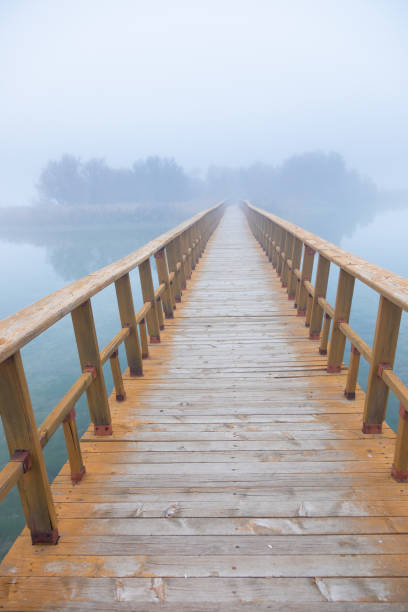 istock Mist-shrouded wooden walkway over calm waters 1985771433