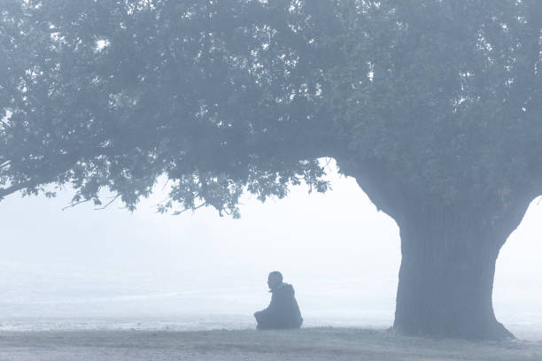 solitary tree