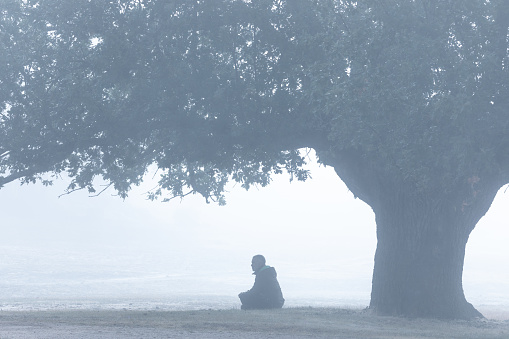 A solitary person sits contemplatively under a large tree in a field shrouded in mist