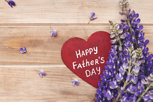 wooden card red heart with white inscription happy Father's day on brown old background with violet flowers lupine, copy space
