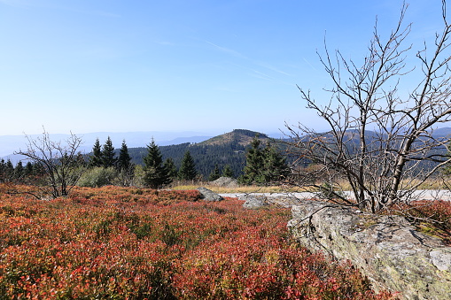 Beautiful autumn day on the Großer Arber in the Bavarian Forest