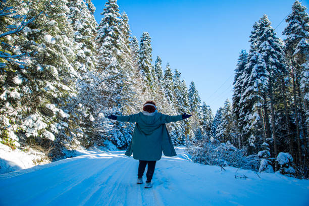 Low angle view of frozen tall trees in forest - Beautiful scenery in Yedigoller Bolu