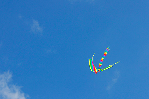 Two kites in mid air