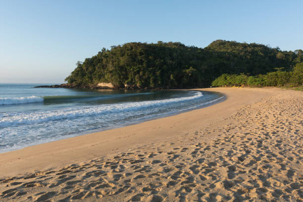 istock Wave breaking at Prumirim Beach in Ubatuba 1985929728