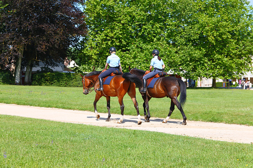Park of Chambord Castle, France - June 11, 2010: The horse guards patrol the park around Chambord Castle. Two female guards riding on horseback along a park avenue.
