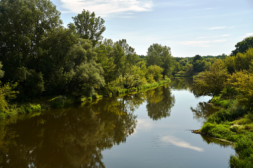 rural landscape with the Warta river and forest during summer, Poland