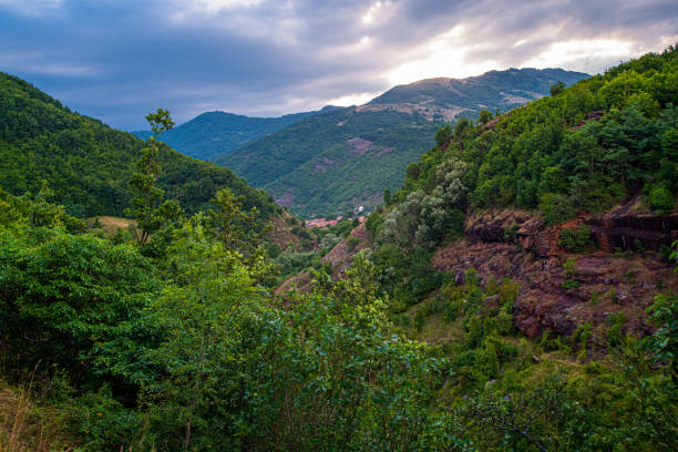 istock Beautiful green forest on the mountain 1986001286