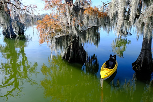 Kayak at Lake Martin Louisiana