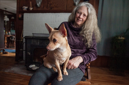 Woman sits with her Chihuahua on her Lap in the Living Room