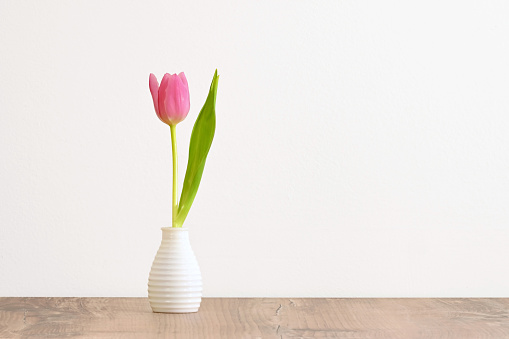 Small single pink tulip with green leaf in a white vase on a wooden table with a light background