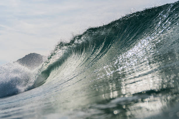 istock Barrel wave surfing during a sunny day 1986034053