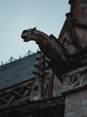 One of the many gargoyles of the Amiens Cathedral