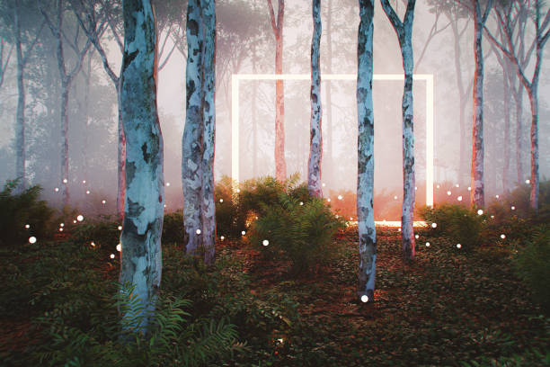istock Mysterious portal in the forest 1986247070