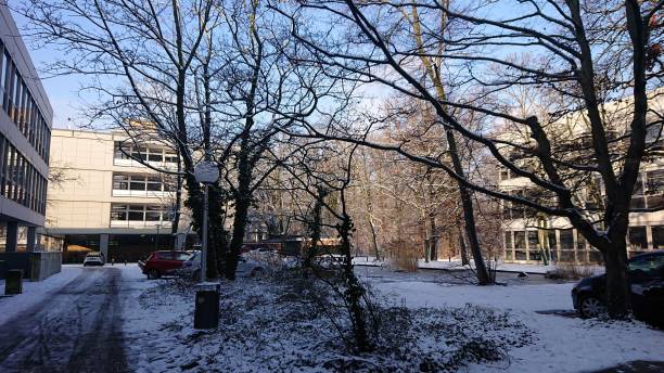 snowy park in central berlin with tv-tower in the background on clear sunny winter day