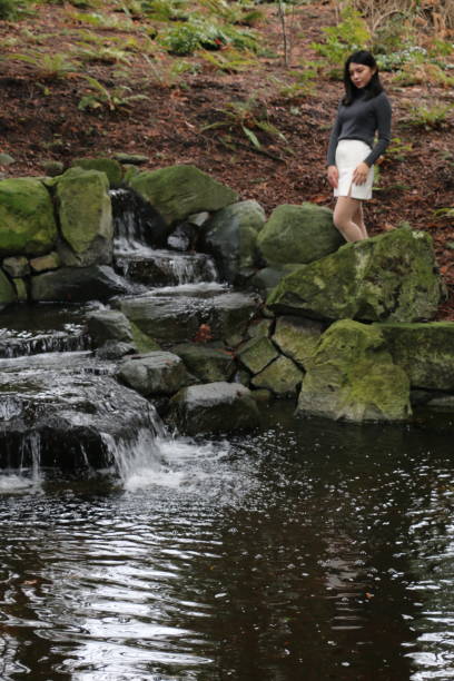 serenity - natural phenomenon waterfall rock tranquil scene stock-fotos und bilder