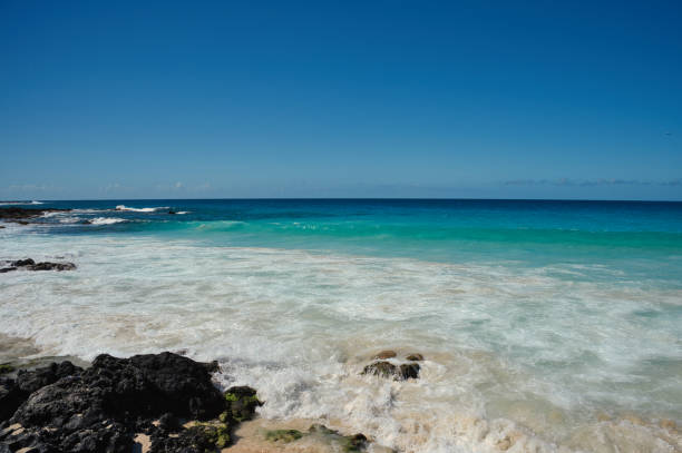 istock beautiful ocean in hawaii 1986332235