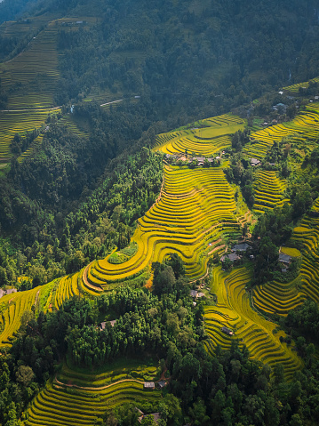 Hoang Su Phi in Ha Giang, near the Chinese border, is a mountainous area with little tourism, one of the best area with rice terrace
