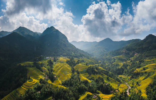 istock Rice terrace in Hoang Su Phi, Ha Giang, Vietnam 1986336357