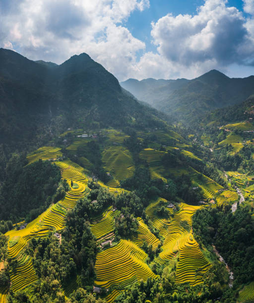 istock Rice terrace in Hoang Su Phi, Ha Giang, Vietnam 1986336360
