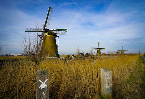 Windmill in Kinderdijk, Netherlands