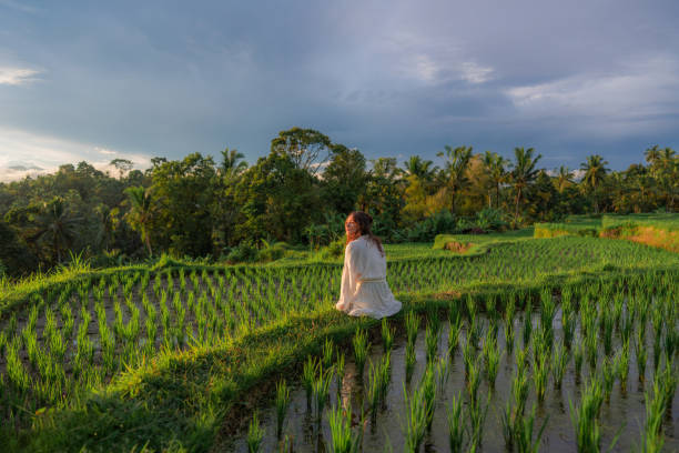 istock Cheerful woman sitting on rice paddy on Bali 1986442633