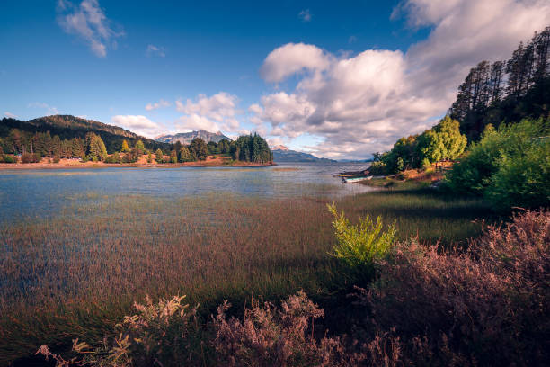 Puerto Scarf | Nahuel Huapi NP - Bariloche, Argentina