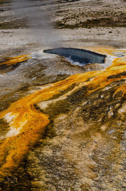 istock Algae-bacterial mats. Hot thermal spring, hot pool in the Yellowstone NP 1986481954
