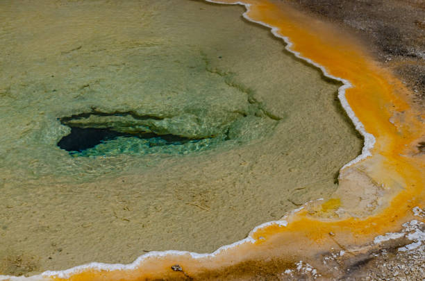istock Algae-bacterial mats. Hot thermal spring, hot pool in the Yellowstone NP 1986481957