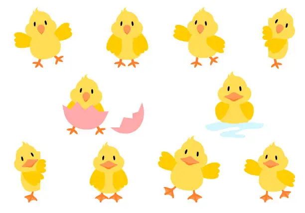 Vector illustration of Easter chicks  and ducklings