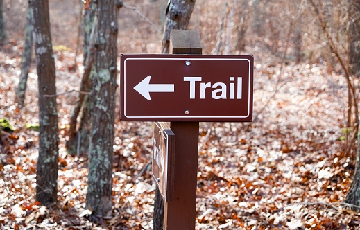 Brown and white hiking trail marker sign, in close-up, with arrow on a wooden post amid bare trees and a bed of fallen leaves in a forest. Early winter, selective focus on trail sign.