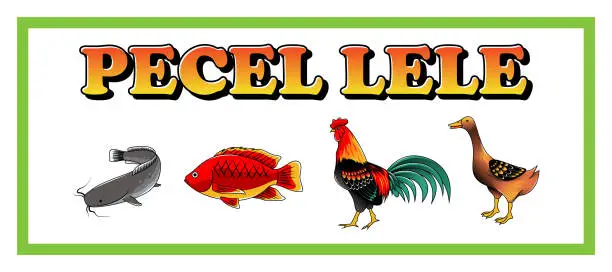 Vector illustration of indonesian food pecel lele illustration