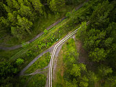 Aerial view of small roads in the middle of dense natural pine forest trees on the mountain hills. Beautiful spruce forest. Connecting roads between villages or small towns surrounded by forests