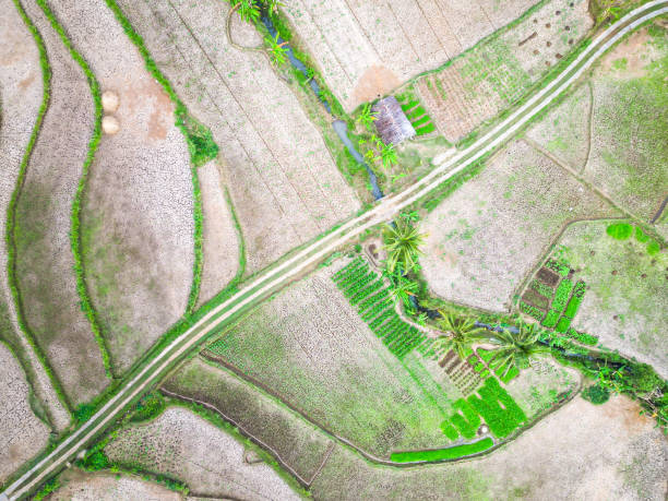 istock Aerial view of empty rice fields due to drought in Yogyakarta, Java, Indonesia. Concept for el nino la nina, global warming, climate change, extreme weather. Straight moving high angle video footage. 1986698531