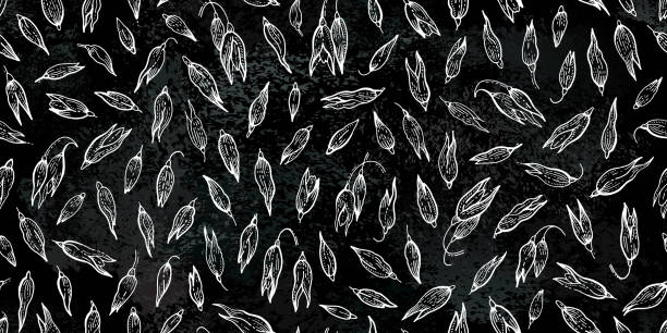 Oat pattern on chalkboard. Oat spikes background. Chalk line cereal drawing. Grain farm seeds sketch on board. Vector bread plant. Oatmeal seed vintage seamless pattern. Chalk board background food