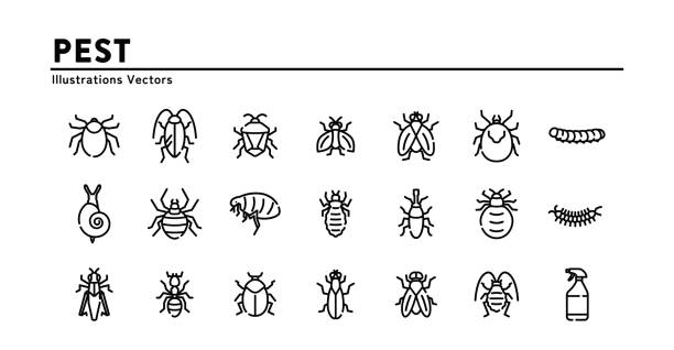 einfaches und leicht zu bedienendes schädlings-icon-set - bedbug insect beetle temperate bedbug stock-grafiken, -clipart, -cartoons und -symbole