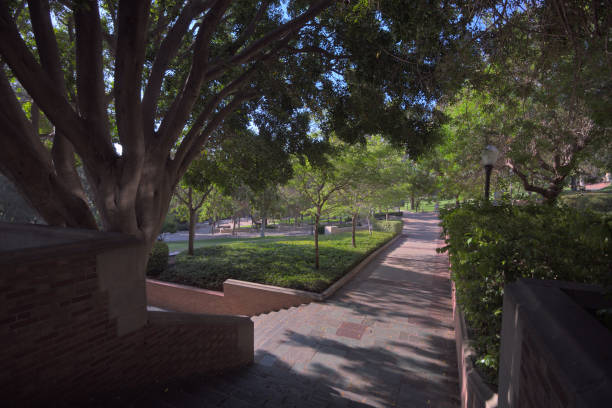 Sunlit Walkway on College Campus